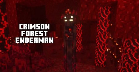  Enderman Overhaul  Minecraft 1.21