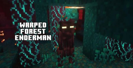  Enderman Overhaul  Minecraft 1.21