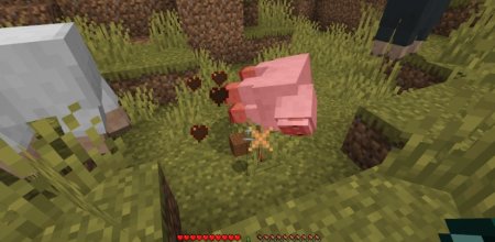  DarkWooly  Minecraft 1.20.6