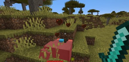  DarkWooly  Minecraft 1.20.6