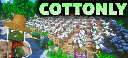  Cottonly  Minecraft 1.20.4