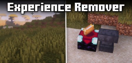  Experience Remover  Minecraft 1.20.6