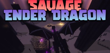  Savage Ender Dragon  Minecraft 1.21