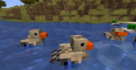  Untitled Duck  Minecraft 1.20.1