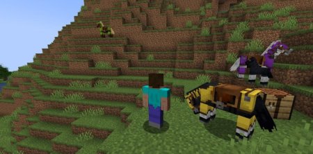  Dyed  Minecraft 1.20.6