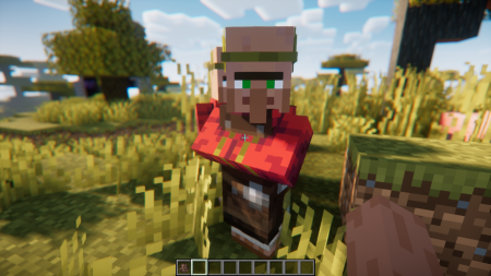  Villager Pickup  Minecraft 1.20.6