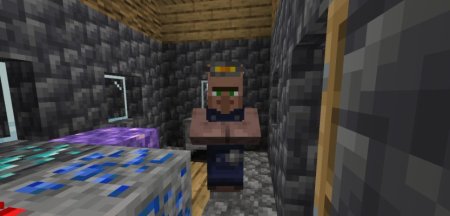  Belgies Mo Villagers  Minecraft 1.20.6