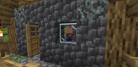  Belgies Mo Villagers  Minecraft 1.20.6