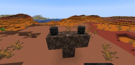  Wither Spawn Fix  Minecraft 1.20.1