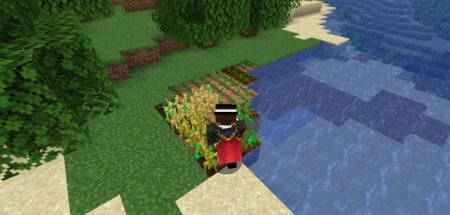  Replanter Plus  Minecraft 1.20.6