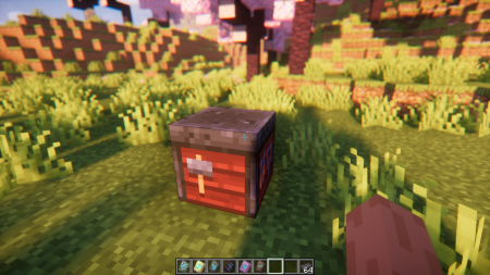  Trims On Tools  Minecraft 1.21