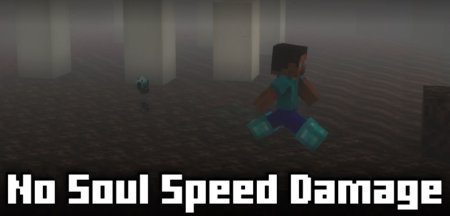  No Soul Speed Damage  Minecraft 1.21