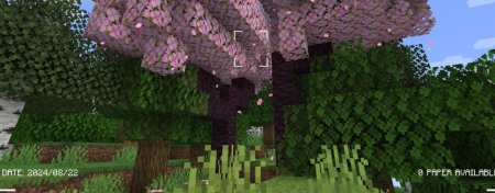  Camerapture  Minecraft 1.21