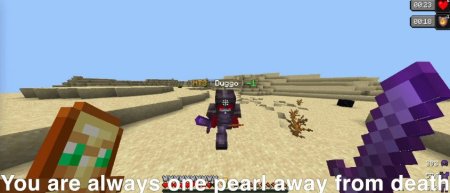  Pearl Detector  Minecraft 1.20.4