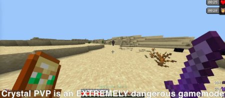  Pearl Detector  Minecraft 1.20.4