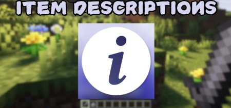  Item Descriptions  Minecraft 1.21