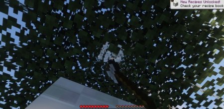  Rapid Leaf Decay  Minecraft 1.20.6