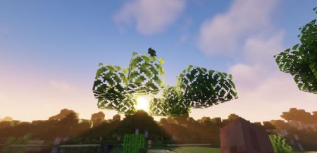  Rapid Leaf Decay  Minecraft 1.20.6