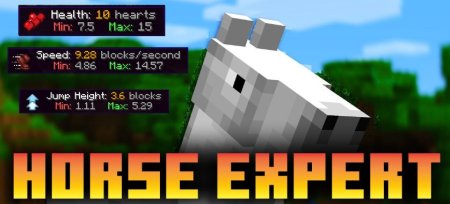  Horse Expert  Minecraft 1.20.4