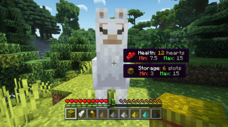  Horse Expert  Minecraft 1.20.4