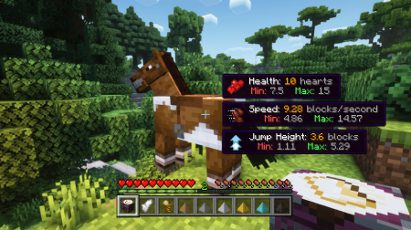  Horse Expert  Minecraft 1.20.4