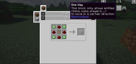  Restrictions  Minecraft 1.21.1