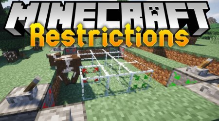  Restrictions  Minecraft 1.21.1