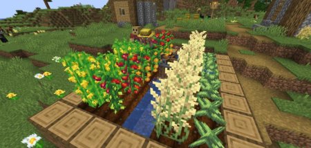  Farm & Charm  Minecraft 1.20.1