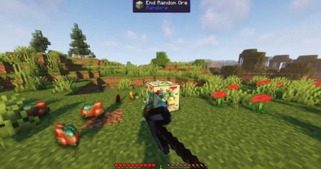  Rand Ore  Minecraft 1.19