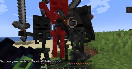  Big Swords R  Minecraft 1.21.1