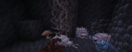  Burrowers  Minecraft 1.20.1