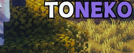  toNeko  Minecraft 1.20.6