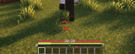  AsteorBar  Minecraft 1.20.6