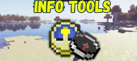  Info Tools  Minecraft 1.21