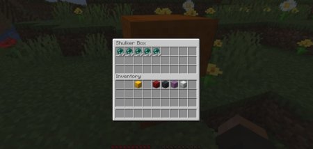  Shulker Tooltip  Minecraft 1.20.6