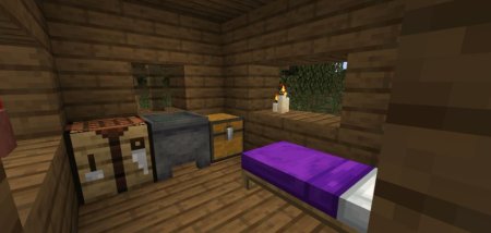  DnT Swamp Hut Overhaul  Minecraft 1.21