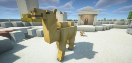  Actually Camel  Minecraft 1.21