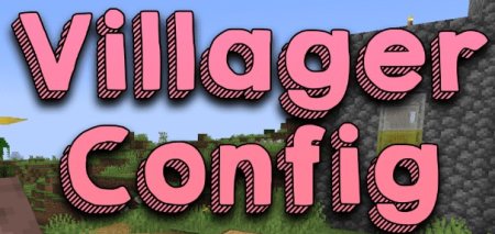  Villager Config  Minecraft 1.21