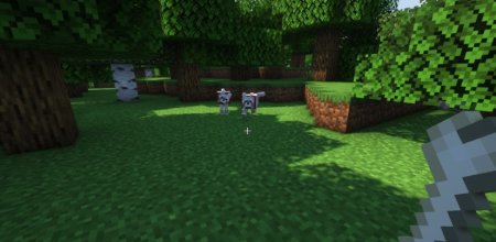  Followers Teleport Too  Minecraft 1.21