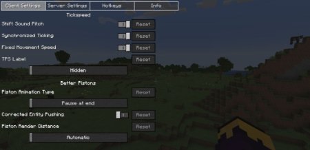  G4mespeed  Minecraft 1.21.1