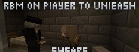  Kidnap Me  Minecraft 1.20.1