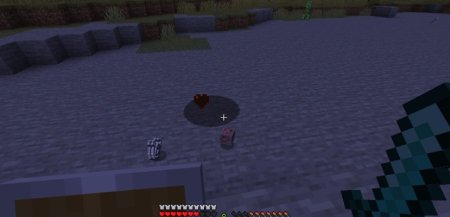  Dark Loot  Minecraft 1.21