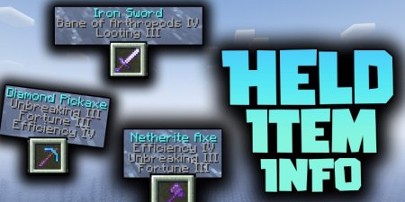  Held Item Info  Minecraft 1.21