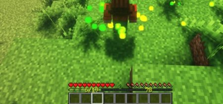  EXP Counter  Minecraft 1.21.1