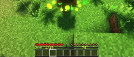  EXP Counter  Minecraft 1.21.1