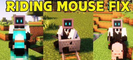  Riding Mouse Fix  Minecraft 1.21.1