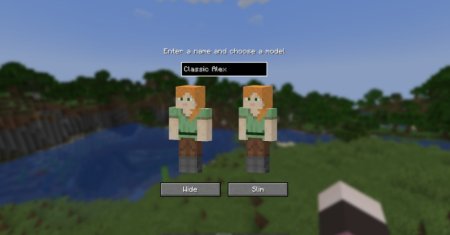  Skin Overrides  Minecraft 1.21.1