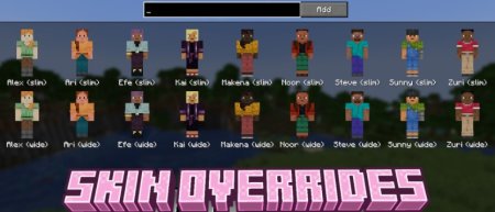  Skin Overrides  Minecraft 1.21.1