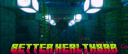  Better Healthbar  Minecraft 1.21.1