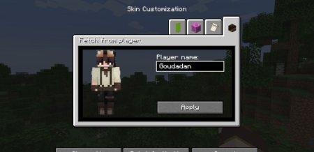  Fabric Tailor  Minecraft 1.21.3